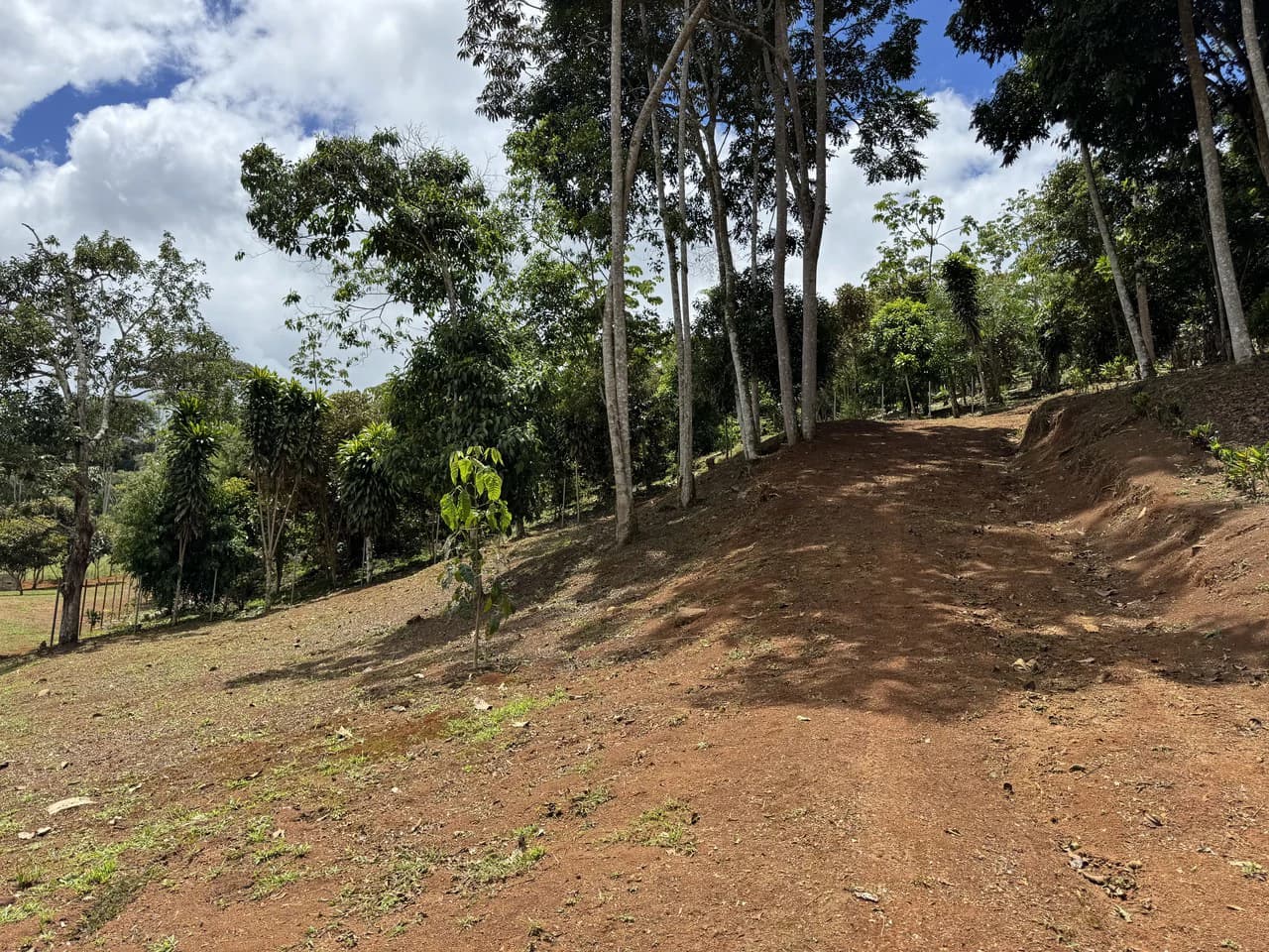 Prime 40,000 Sq. Ft. Building Lot with Mountain & Valley Views in Pérez Zeledón - photo 11