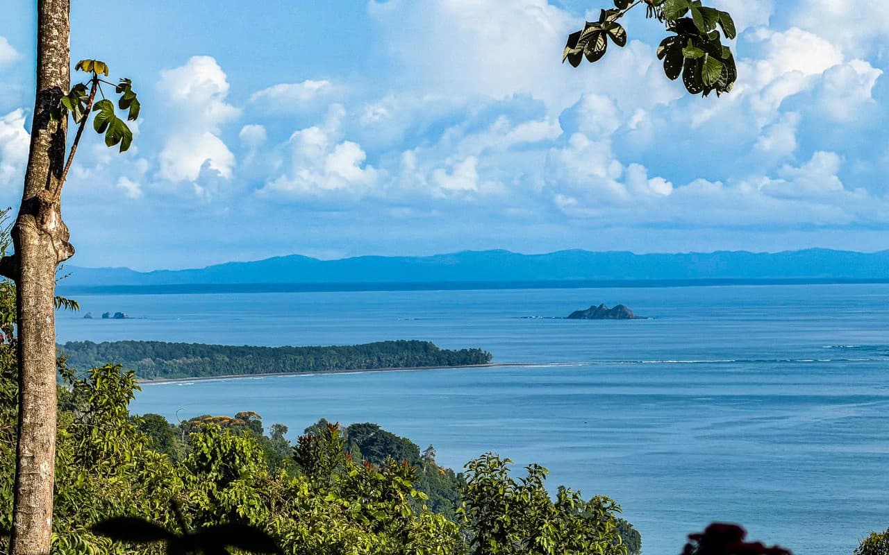 Whale's Tail Ocean View Estate with Extra Lot in Between Uvita and Dominical - photo 29
