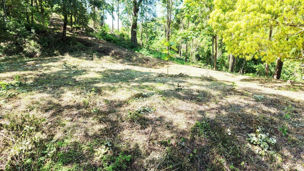 Lote Budry: Exclusive Elevated Lot with Stunning Mountain & Jungle Views Near Samara Beach - photo 8