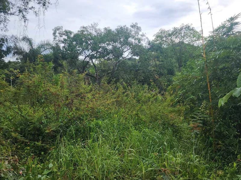 Subdividable lot in Manuel Antonio - photo 8
