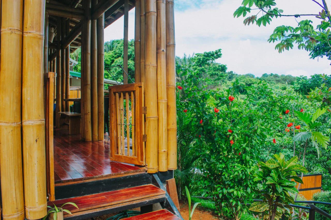 Cabinas Bambura: Cabinas Bambura: Successful Airbnb Business with Stunning Mountain & Jungle View - photo 14