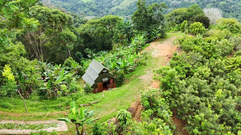 Finca Makambu: Countryside, Mountain, Near the Coast and Riverfront Property For Sale in Barú - photo 5