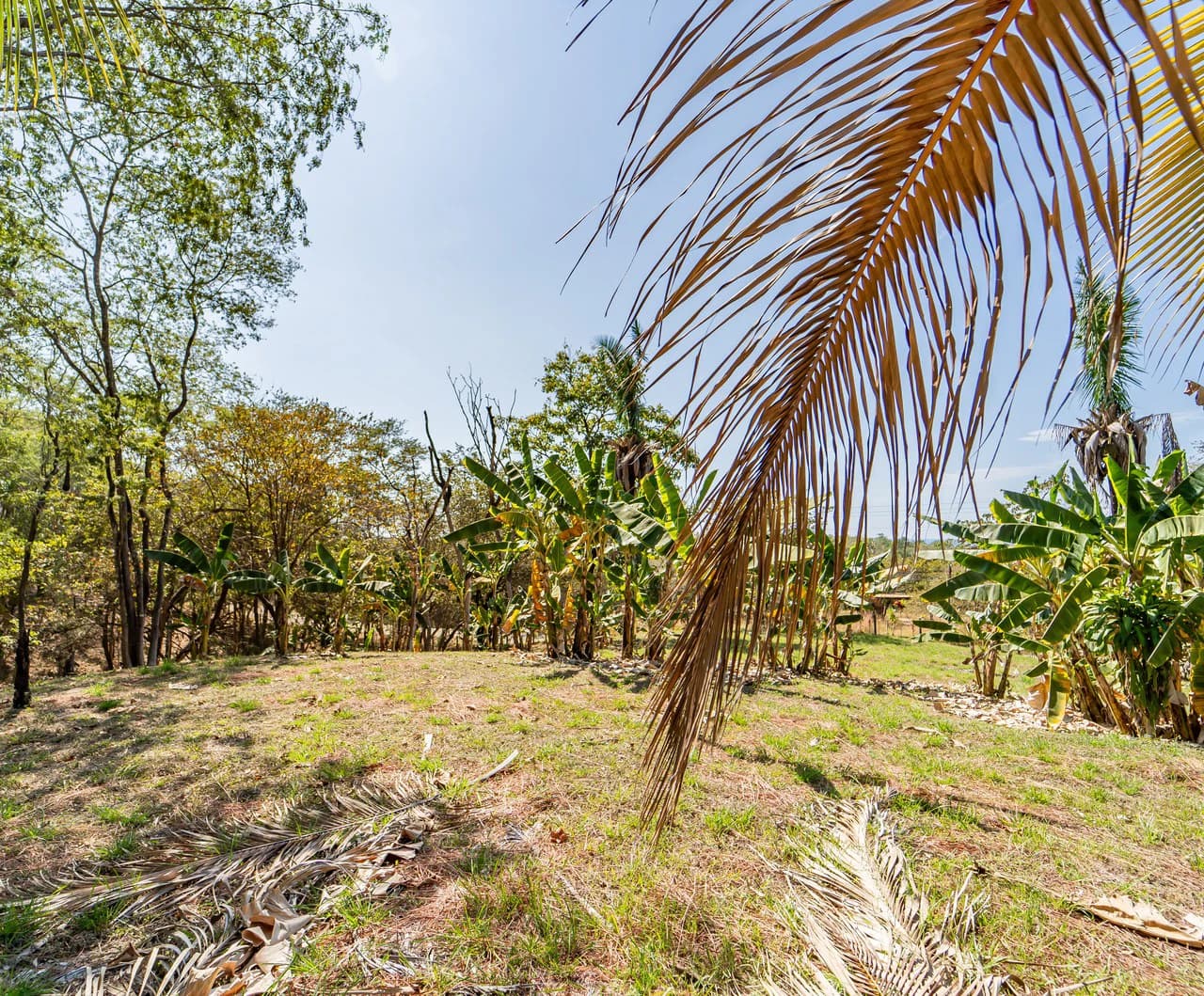 Lote Camaronal Natural: Half Acre Lot Just Mins to the Surf - photo 4