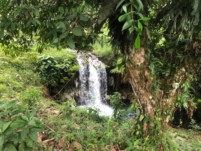 Hot and Cold Thermal Springs for Sale – Beautiful Property in Dos Ríos, Alajuela with Excellent Commercial Potential - photo 11