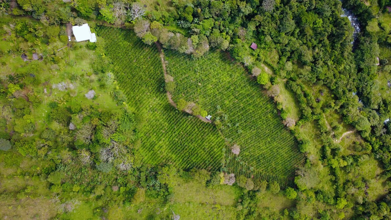 Countryside Home Construction Site For Sale in Santa Elena de San Isidro - photo 5