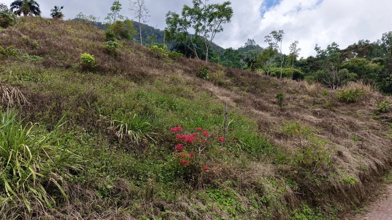 Countryside Home Construction Site For Sale in San Isidro del General - photo 10