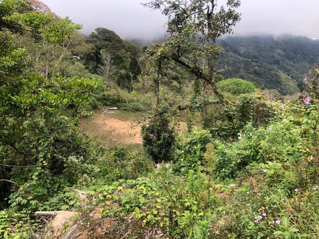 Home Construction Site For Sale in Tarbaca - photo 3