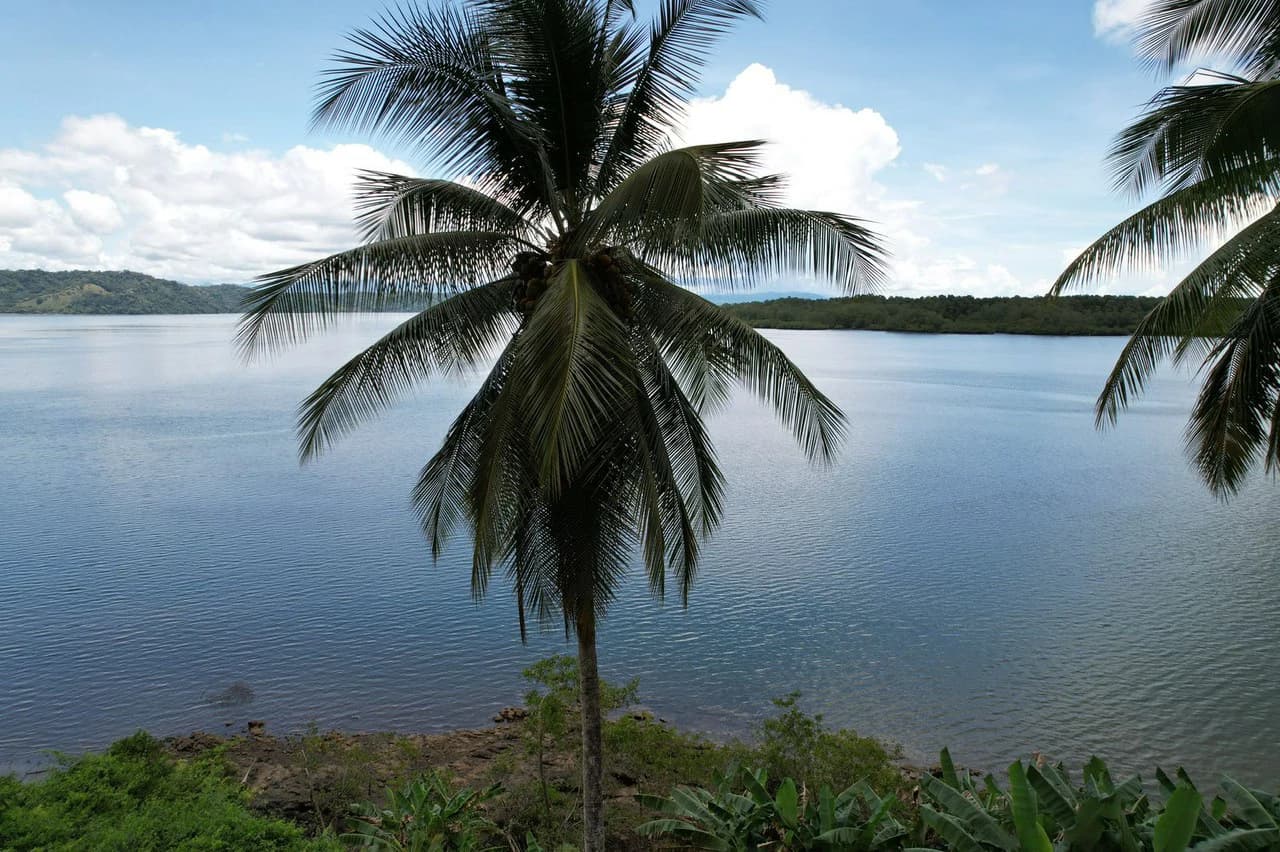 Finca La Palma, Puerto Jimenez: Excellent location ideal for development - photo 17