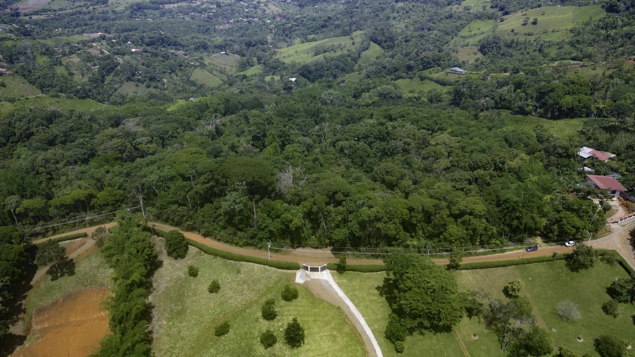 Property #1 with Bamboo Plantation, Development Opportunity (Residential, Hotel, and Industrial).