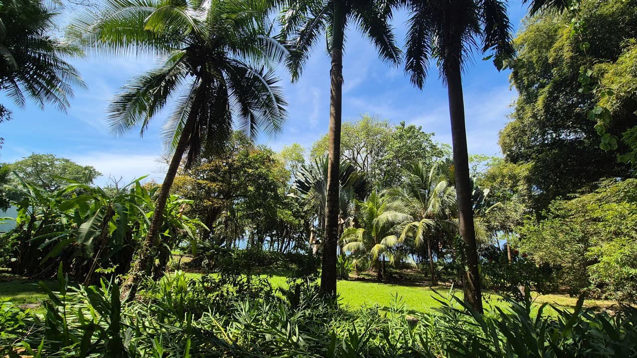 Dream Beachfront Property at Ballena Beach in Uvita, Costa Rica - photo 6