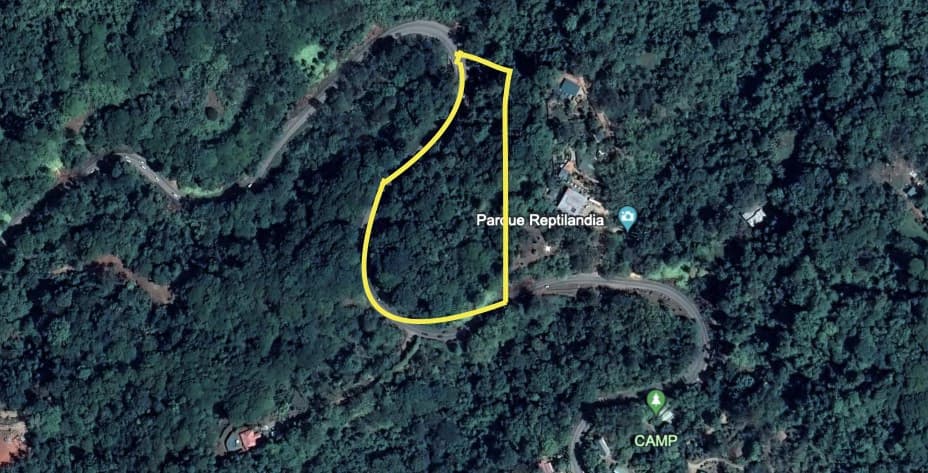 6.5 ACRES – Space To Grow, Build & Thrive, Close To The Beach & Commercial Potential Road Frontage!!!!!: Mountain and Countryside Development Parcel For Sale in Platanillo de Dominical