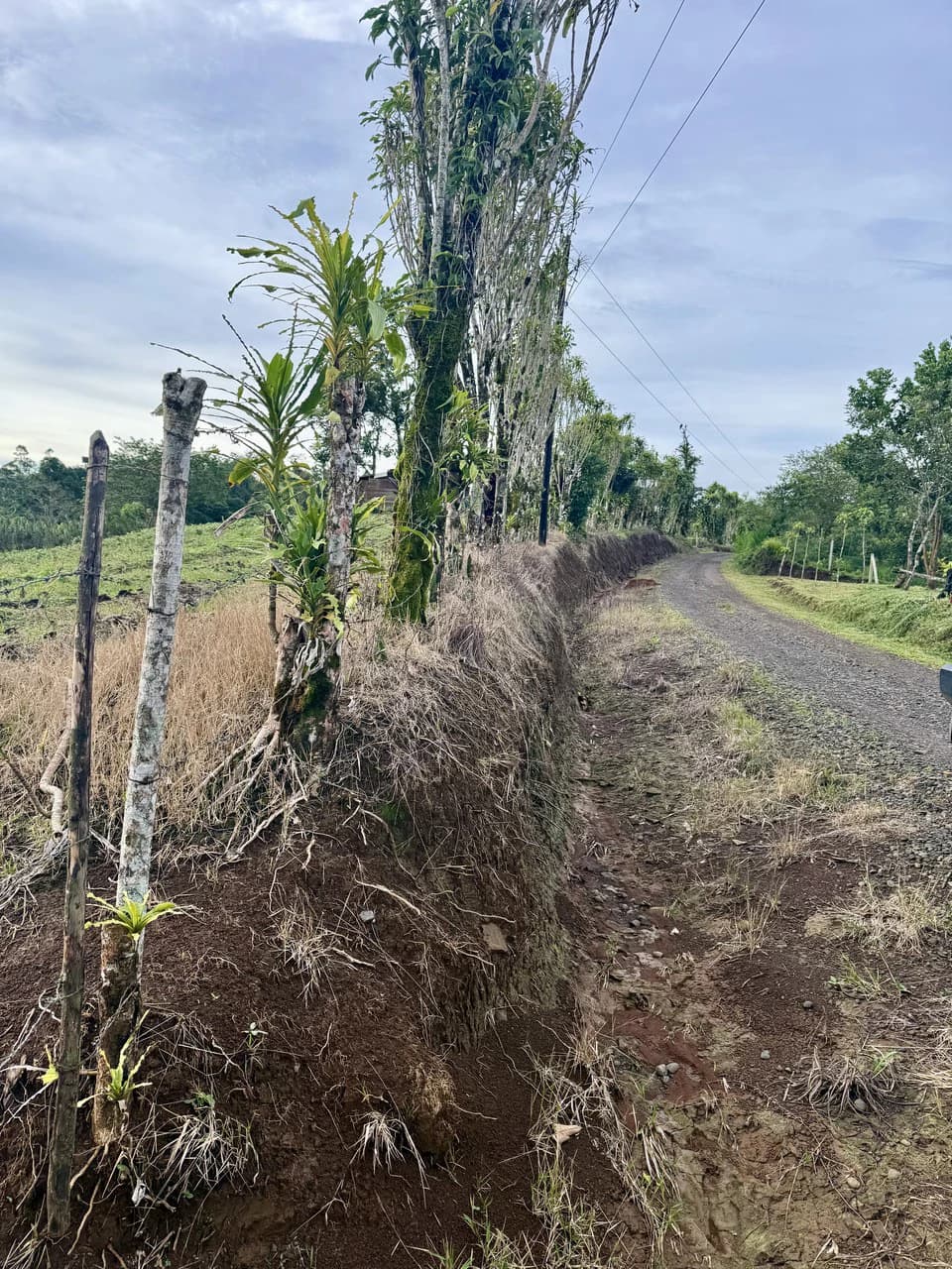 13.81-ACRE COSTA RICA MOUNTAIN PROPERTY | PANORAMIC SUNRISE-TO-SUNSET VIEWS + ELECTRICITY & PRIVATE WELL | NEAR LA FORTUNA — $195,000 - photo 5