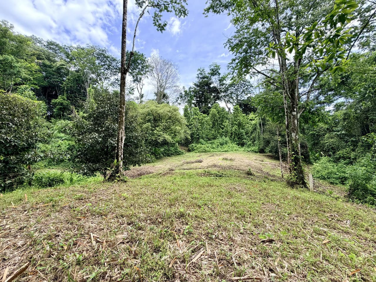 Uvita Development Farm - 40.47 Acres Estate - photo 13