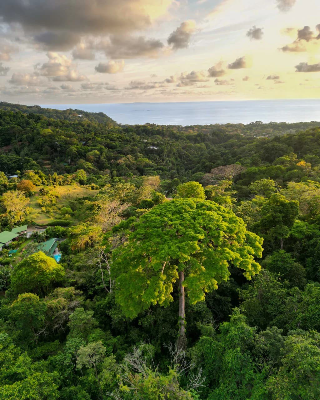 Build Your Vision in Uvita – 15.9 Ocean View Acres with Easy Access + Utilities Ready! - photo 4