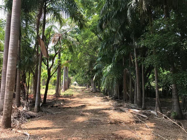 Great property in Santa Cruz: Excellent opportunity to develop in excellent location - photo 10