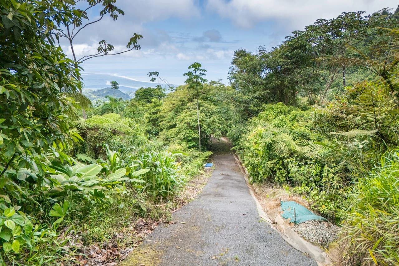 Near the Coast Home Construction Site For Sale in Ciudad Cortés - photo 4