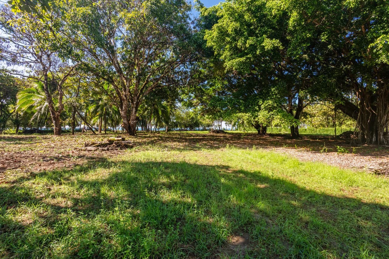 Exclusive Beachfront Opportunity south of Manuel Antonio Costa Rica - photo 12