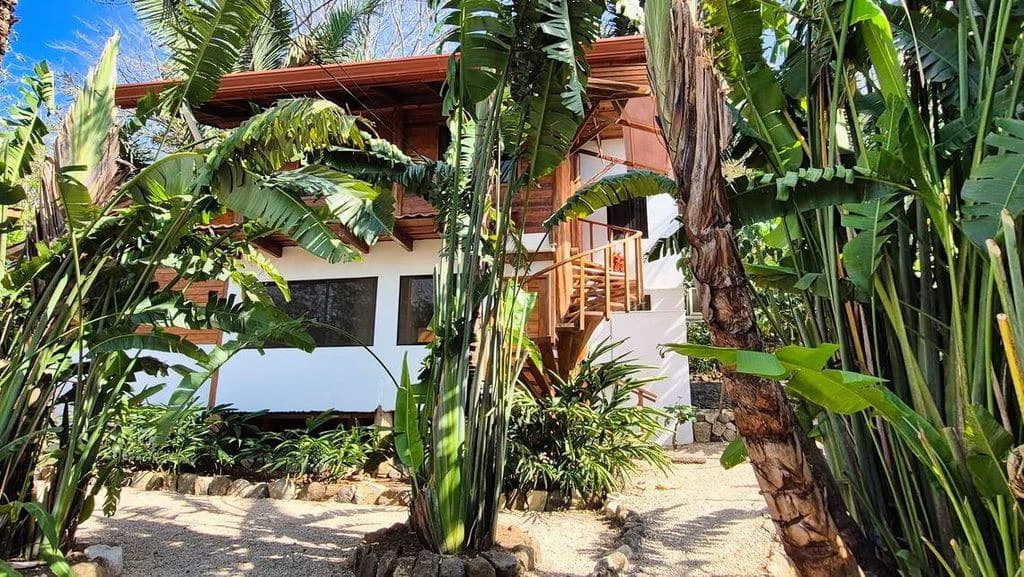 Casa Jungle Tree: Tropical Living with Pool & Expansion | Ready to enjoy the Pura Vida Lifestyle! - photo 10
