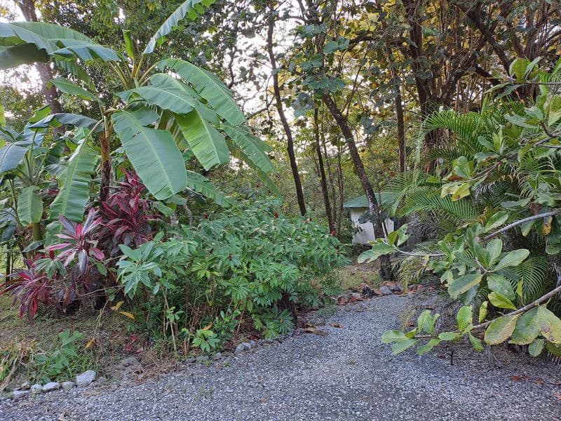 Casas Jungle: Charming Rental Compound with 5 units & pool in the heart of nature, minutes from Samara’s beaches - photo 18