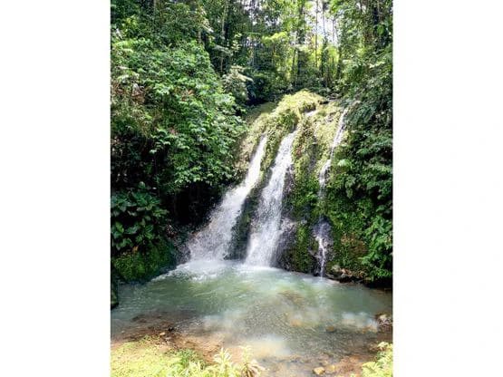 Serene Jungle Farm in Limon Province - photo 61