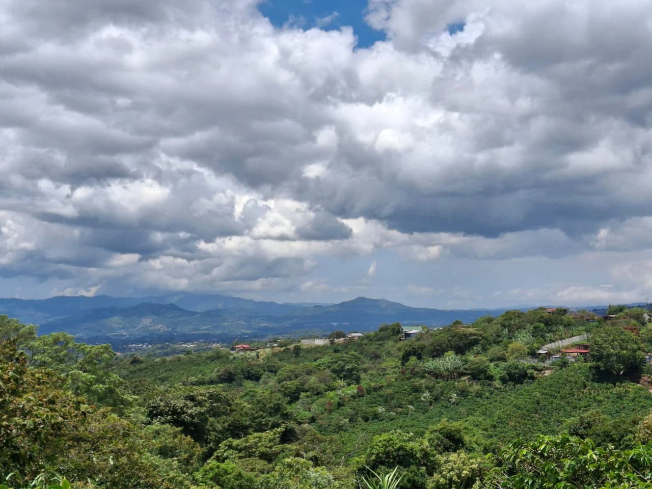 Flat Development Parcel: 4 ha Prime Flat Land - photo 7