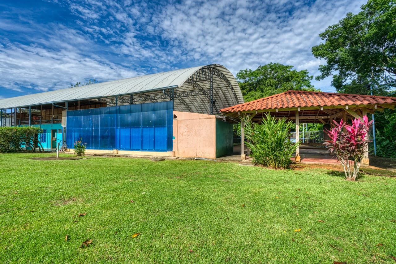 THRIVING SPORTS AND COMMERCIAL BUSINESS WITH OWNER FINANCING OPTION: Rincon Uvita - photo 7