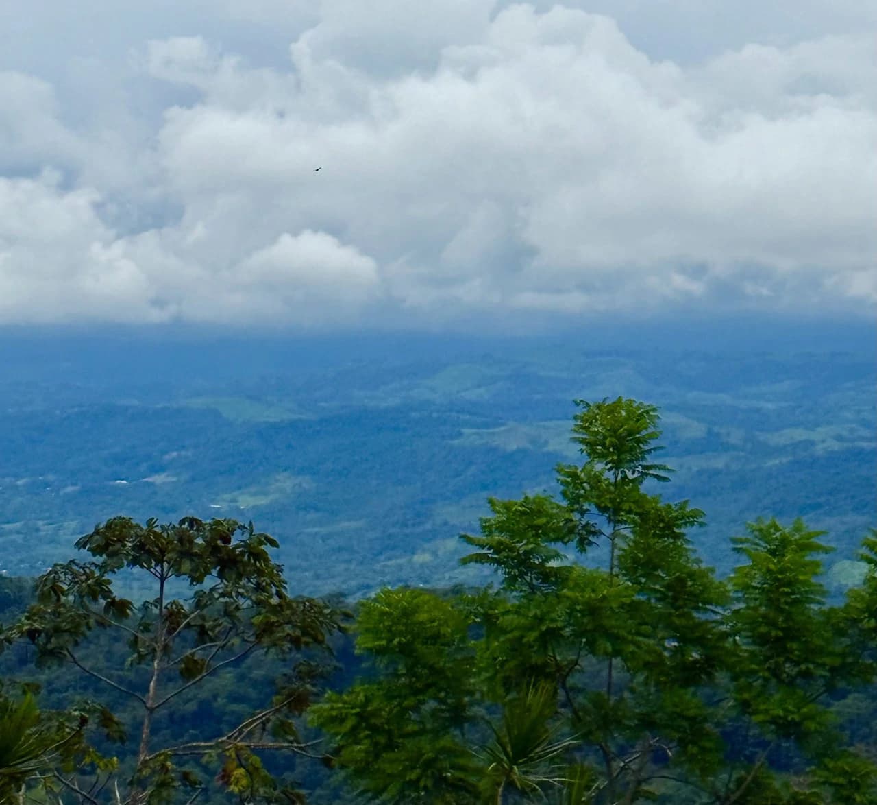 13.81-ACRE COSTA RICA MOUNTAIN PROPERTY | PANORAMIC SUNRISE-TO-SUNSET VIEWS + ELECTRICITY & PRIVATE WELL | NEAR LA FORTUNA — $195,000 - photo 11