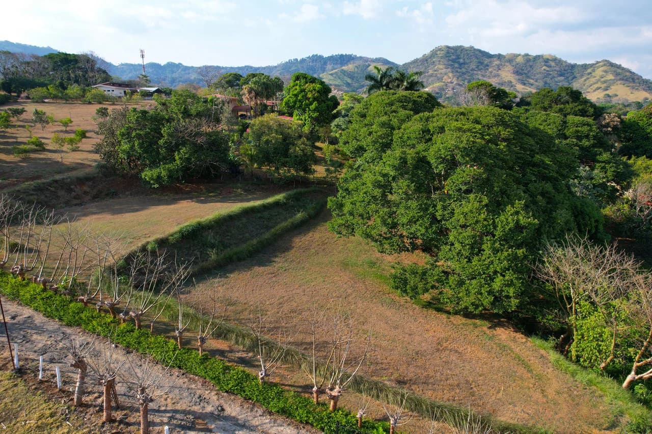 Lot in Barrio San José Sur , Atenas – Strategic Location - photo 9