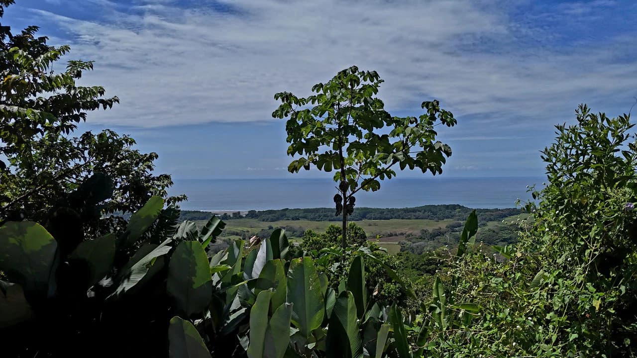 Ocean View Property with Plantel and Trails in Hatillo – Ready to Build: Mountain Home Construction Site For Sale in Hatillo - photo 2