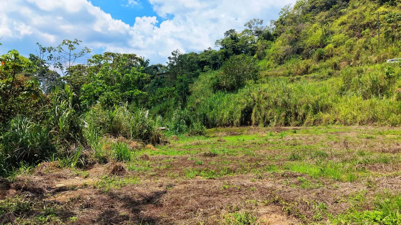Countryside Home Construction Site For Sale in San Pedro - photo 14