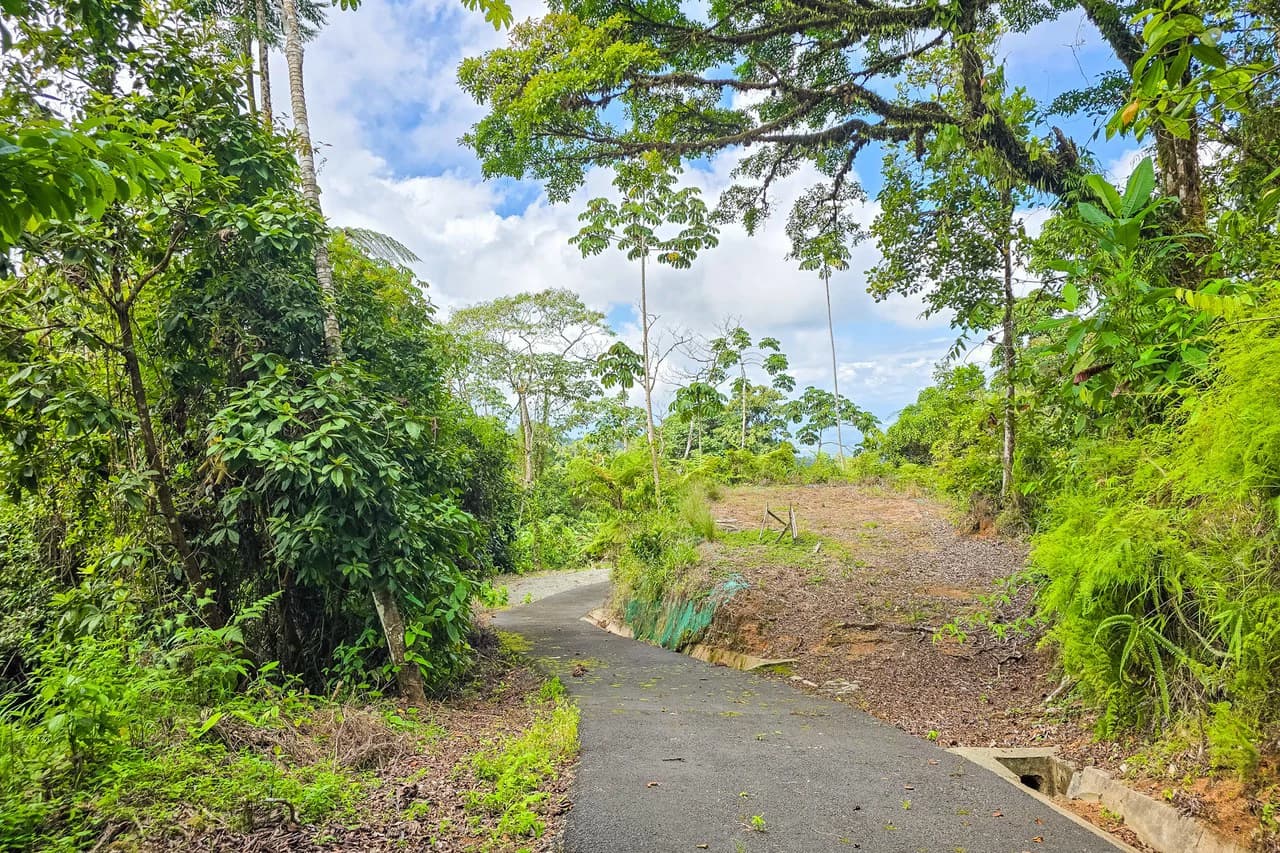 Near the Coast Home Construction Site For Sale in Ciudad Cortés - photo 10