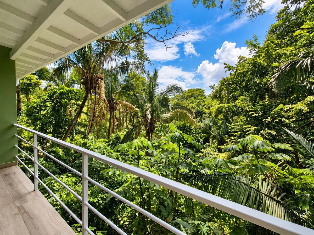 Casa Selva Serena: 3-Bedroom home & Guest Unit | A Rare Tropical Setting Just Minutes from Sámara Beach - photo 30