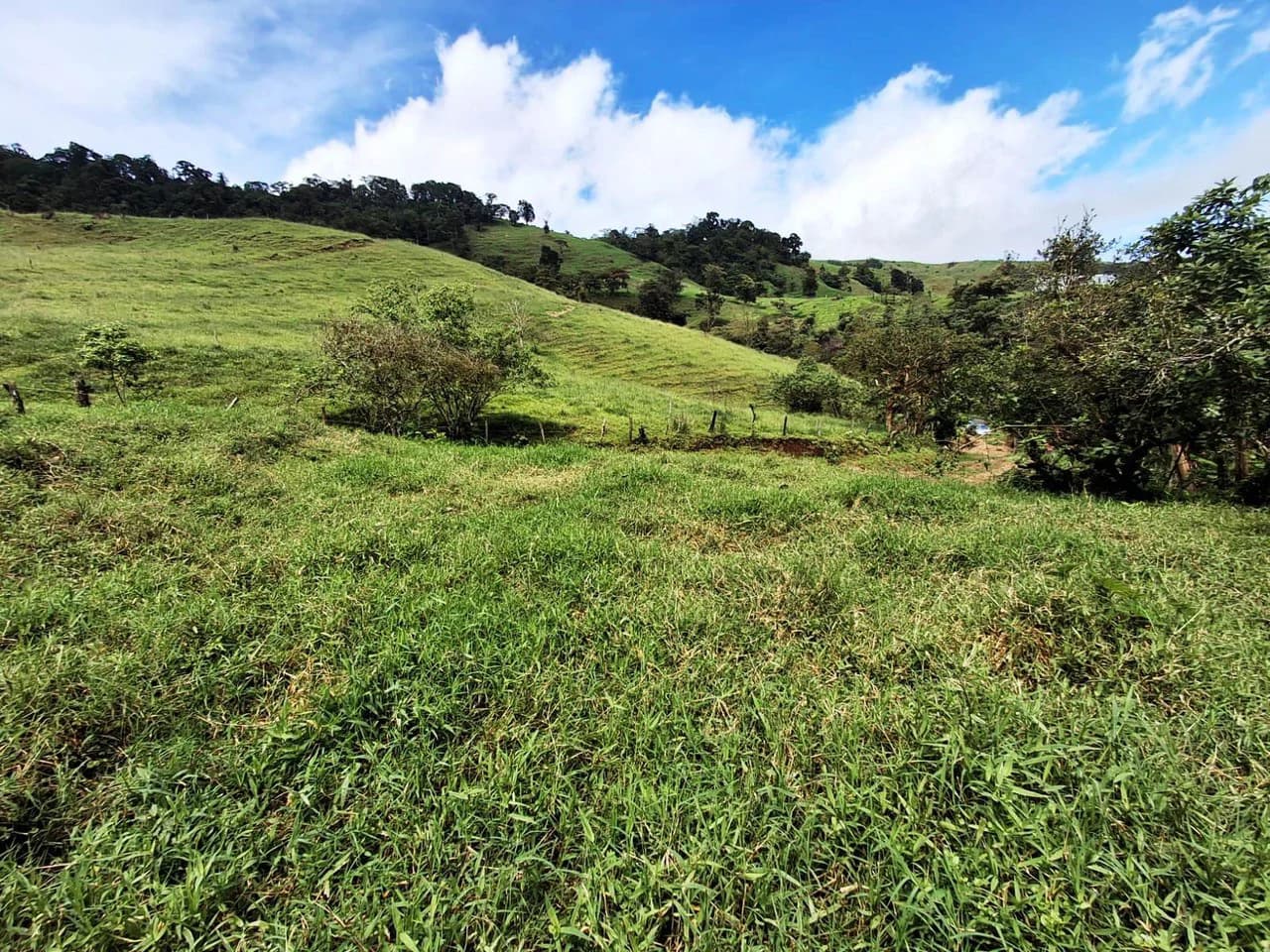 INVESTOR & DEVELOPER ALERT: High-Visibility Investment Property in the Heart of Tourist-Friendly Zarcero - photo 11