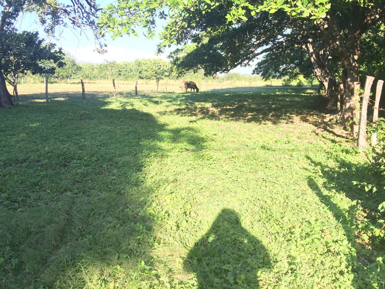 Precioso lote en Barrio La Cruz, Liberia: Building Lot for Sale in La Cruz – Flat Land Surrounded by Nature in a Peaceful Neighborhood - photo 3