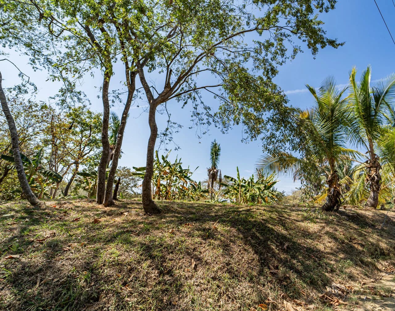 Lote Camaronal Natural: Half Acre Lot Just Mins to the Surf - photo 3