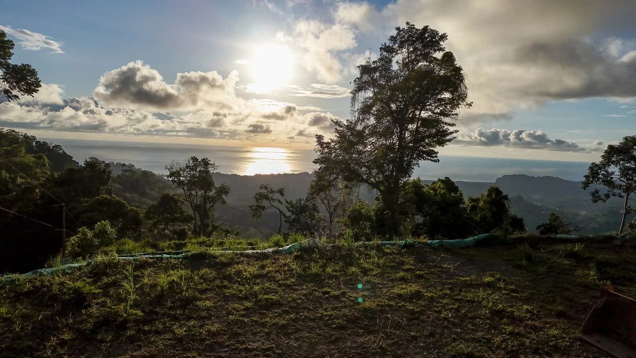 Year-Round Sunset Views | 3 Connected Build-Ready Lots - photo 13
