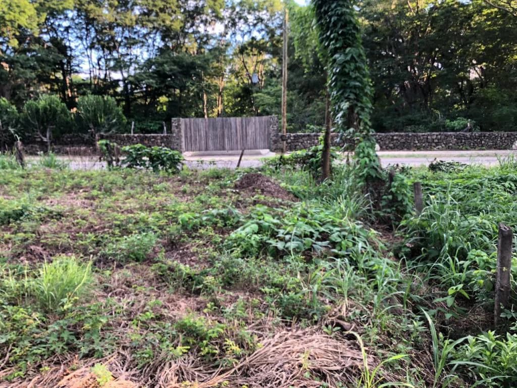 Large Commercial Property in Playa Hermosa, Guanacaste, Costa Rica - photo 12