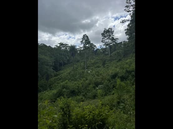 SPECTACULAR ECOLOGICAL MOUNTAIN FARM IN BIJAGUAL DE TURRUBARES - photo 18
