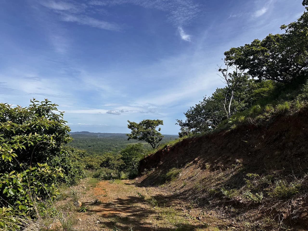 Ocean View Lot Negra Beach: Ocean View Hilltop Lot In Negra Beach, Finca Los Pargos - photo 11