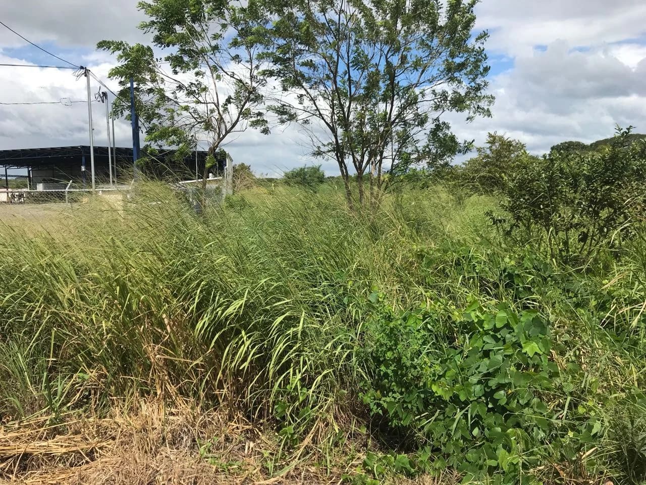 Property near Liberia and Discovery Park - photo 7