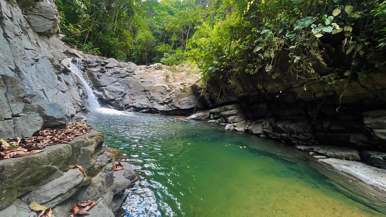 FINCA CERRO DEL TIGRE! OVER 20 ACRES OF PRIMARY FOREST AND WATERFALLS.: Mountain Agricultural Land For Sale in La Unión - photo 23