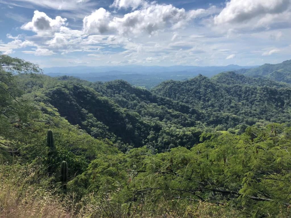 Ocean View Property with Panoramic Views on the Pacific Gold Coast – Guanacaste - photo 9