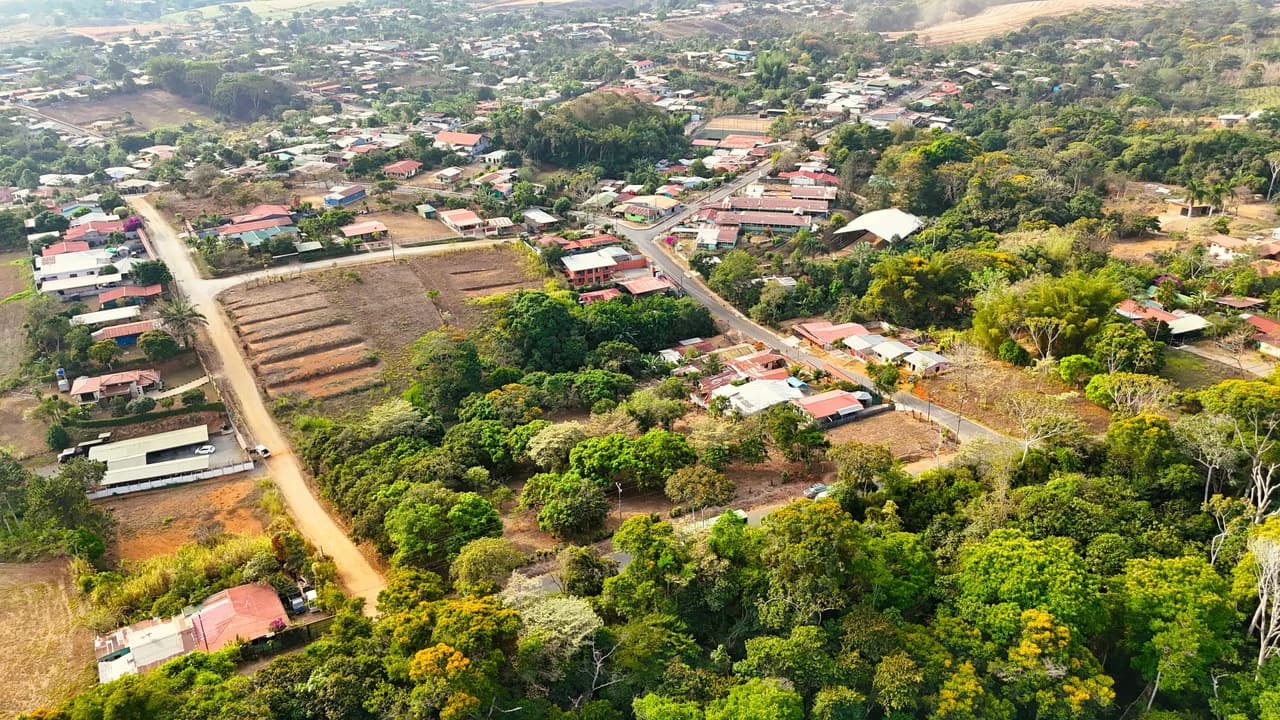 FRUIT TREE PROPERTY FOR SALE: Home Construction Site For Sale in San Isidro del General - photo 5