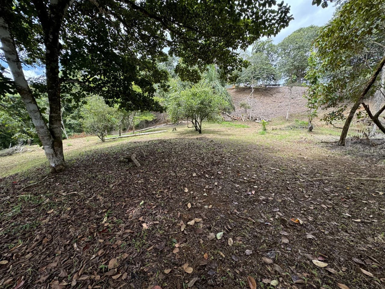 Diamante Waterfall View Land in Dominical 2.9 Acres - photo 21