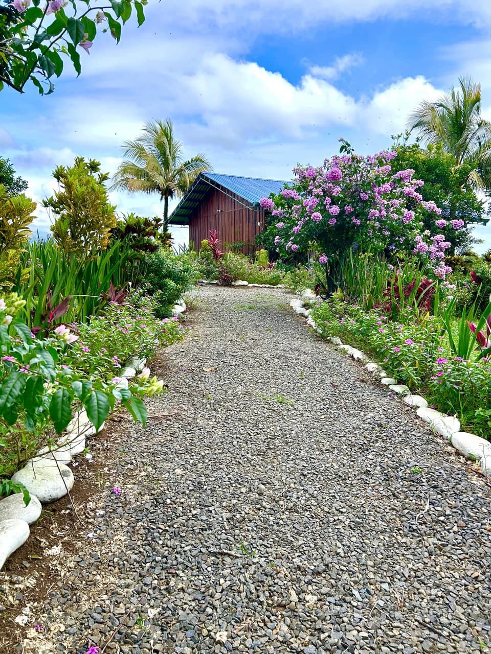 Costa Rica Ecolodge Retreat: TURNKEY COSTA RICA ECOLODGE & WELLNESS RETREAT | 28 ACRES + 5 GUEST CABINS | 45 MINUTES FROM LA FORTUNA - photo 5