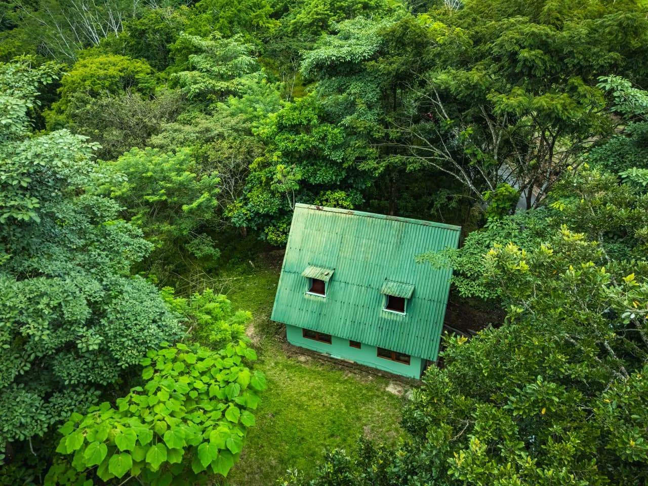 Casa Verde: Your Green Dream - photo 15