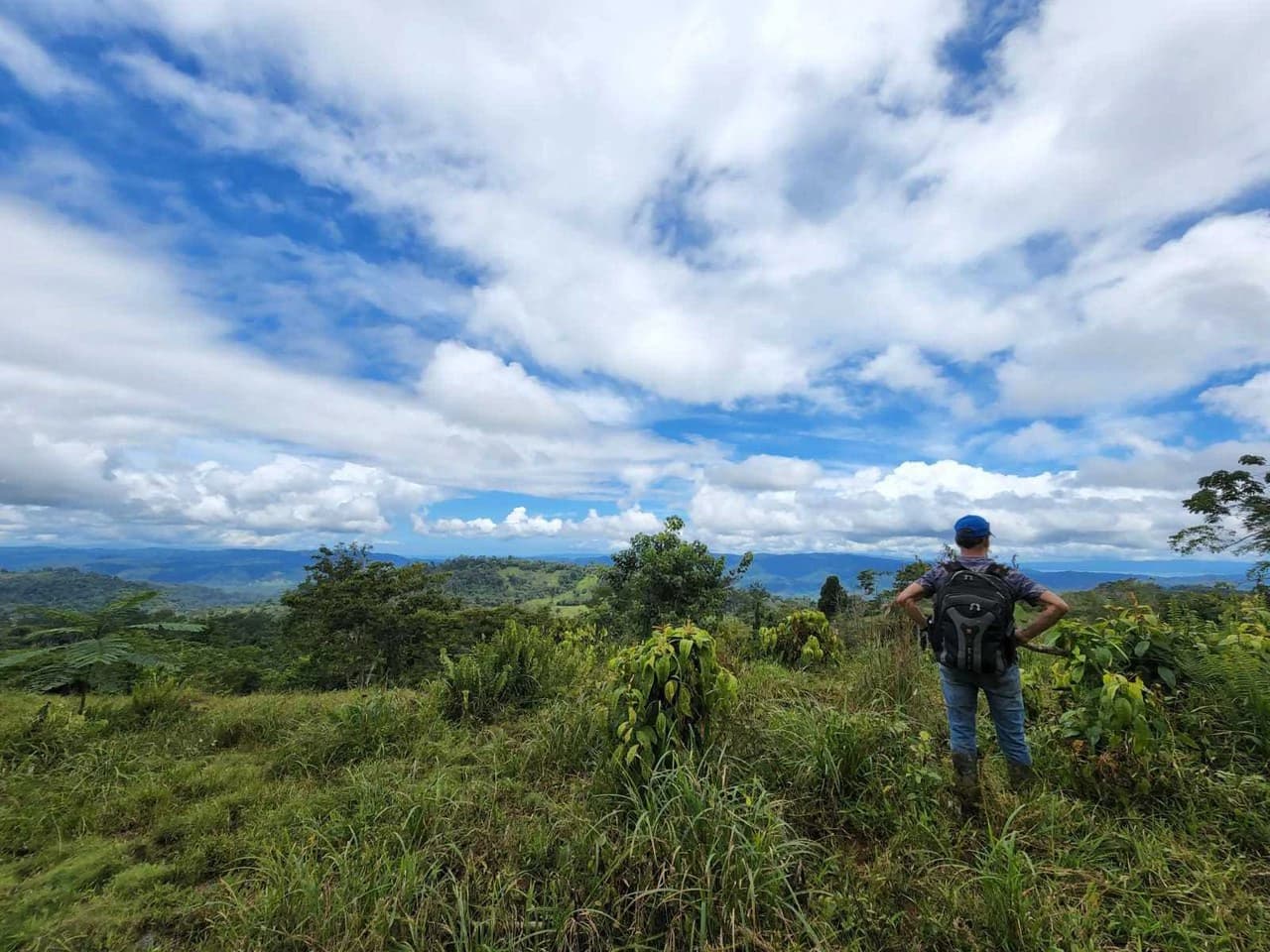 Fire Sale Farm with Ocean View | Piedras Blancas, Osa Peninsula - photo 11