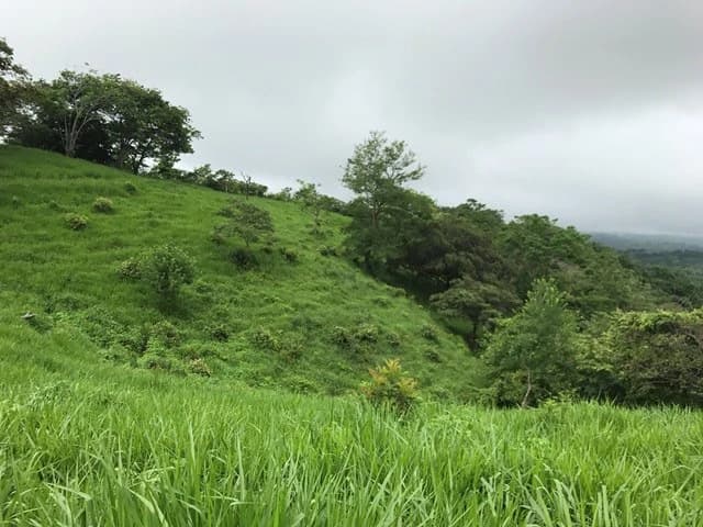 Ocean View Farm - photo 8
