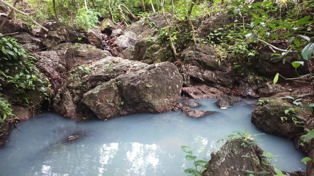 Riverfront, Mountain and Countryside Agricultural Land For Sale in Cañas Dulces - photo 8