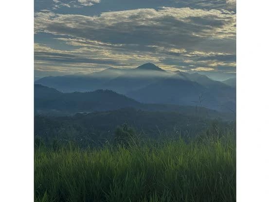 SPECTACULAR ECOLOGICAL MOUNTAIN FARM IN BIJAGUAL DE TURRUBARES - photo 9
